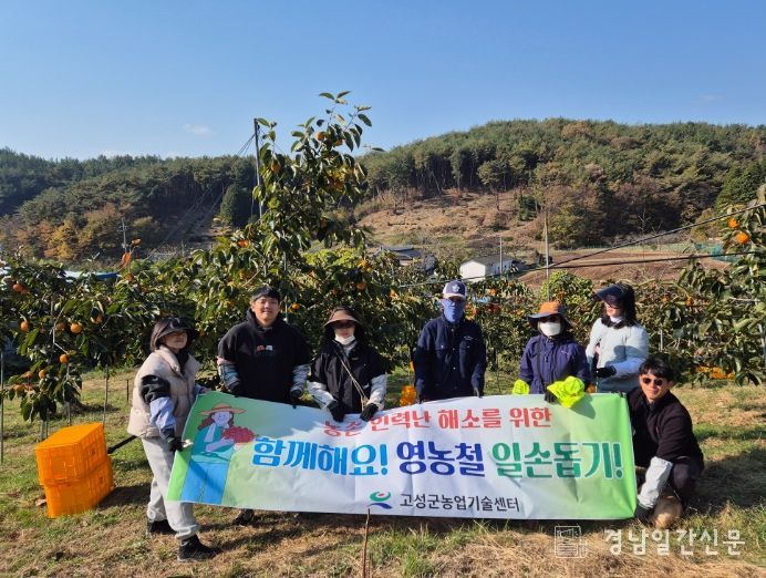 고성군, 단감 수확철 맞아 농촌일손돕기