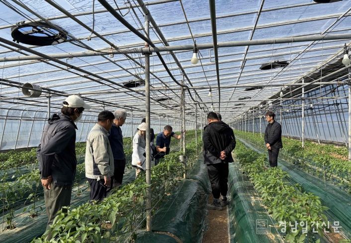 심상환 고추명장이 시설고추 교육생 농가를 방문해 현장 컨설팅을 하고 있다.