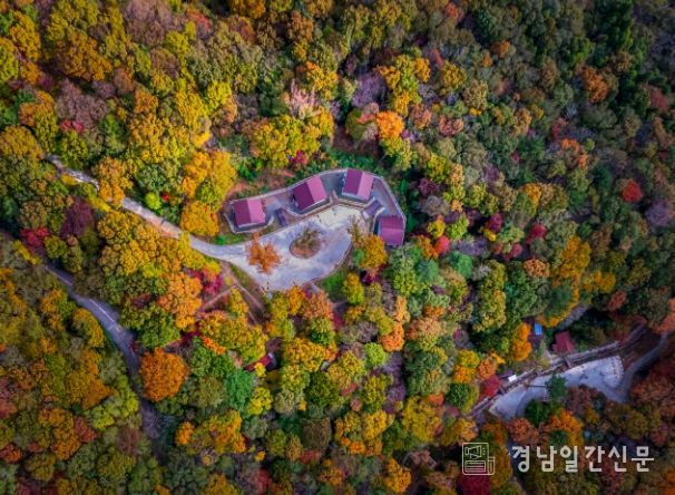 거제자연휴양림 전경