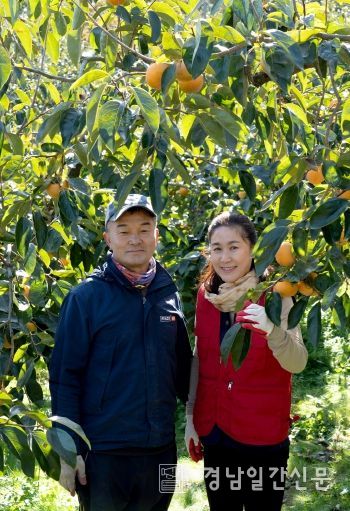 1. 대한민국 과일선발대회에서 우수상을 수상하신 길곡면 농가주 오명주, 윤한업 씨 부부