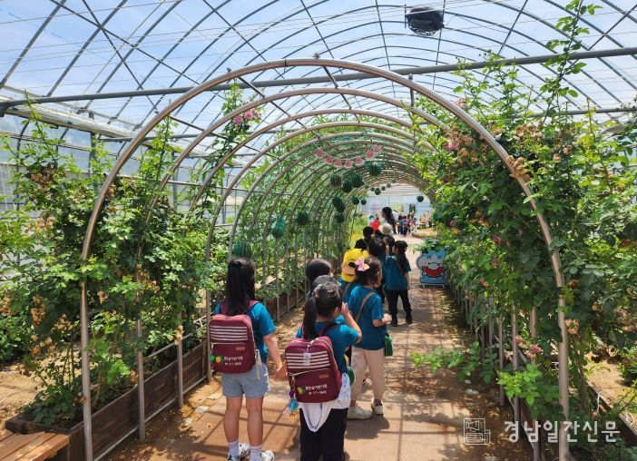 함안수박전시관, 어린이집 대상 체험 프로그램 성황리에 운영