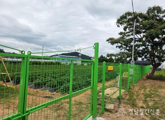 양산시, 멧돼지 등 야생동물 피해 사전 예방