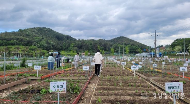 도심속 농업체험 ‘시민텃밭’ 분양