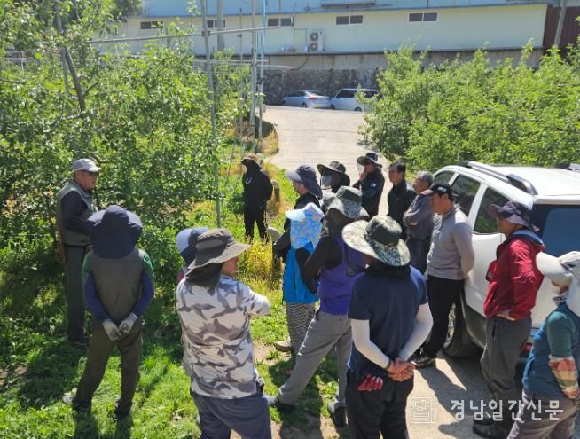 합천군 품목별 농업인연구회 육성 성과 가시화