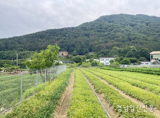 야생동물 피해예방시설 설치비용 지원전체 비용 60% 최대 1천만원까지