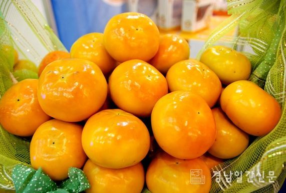 “단감” 등 과수 4종 농작물 재해보험 가입 독려