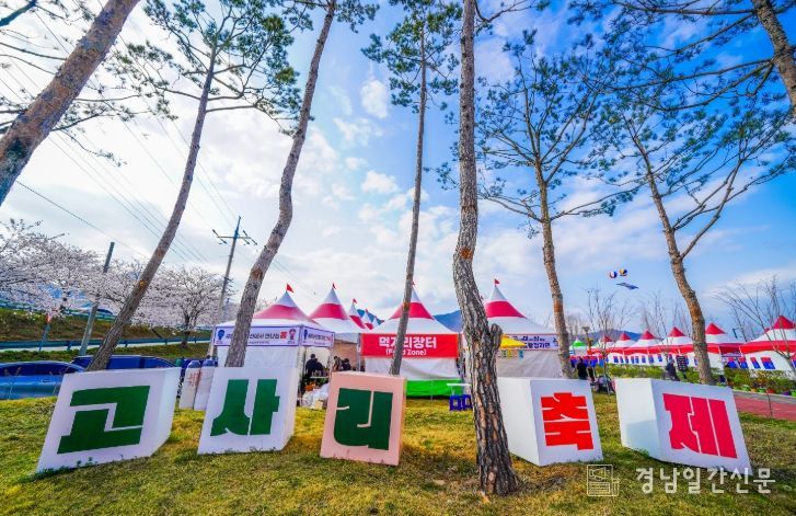 남해군 제8회 창선고사리축제