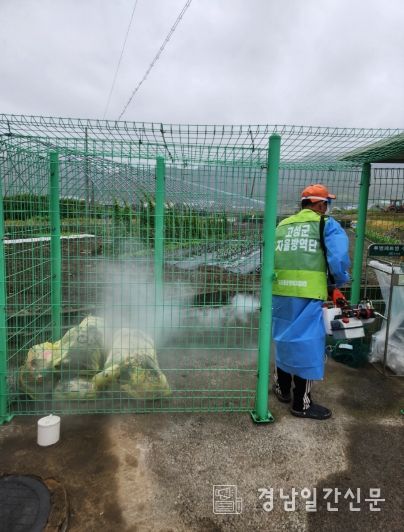 자율방역단 오염취약지방역