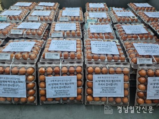 고병원성 AI 선제적 도태 농가에 계란 나눔 행사 추진