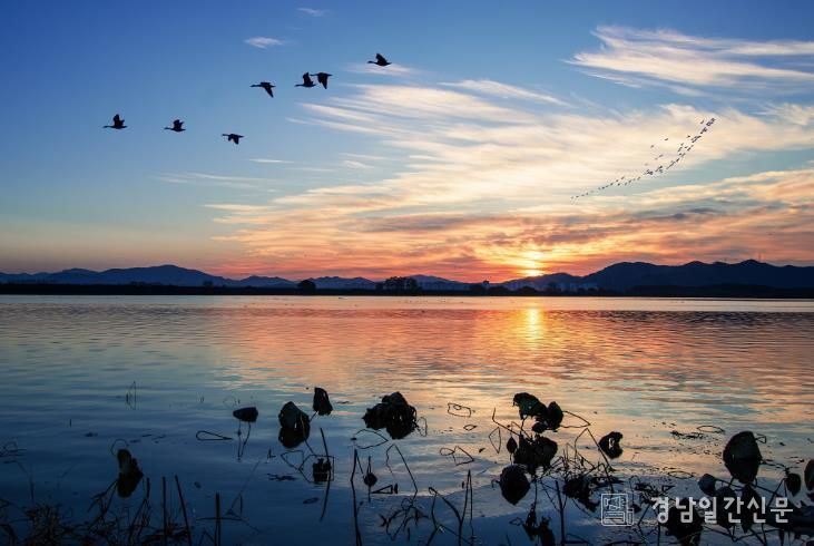 주남저수지 전경
