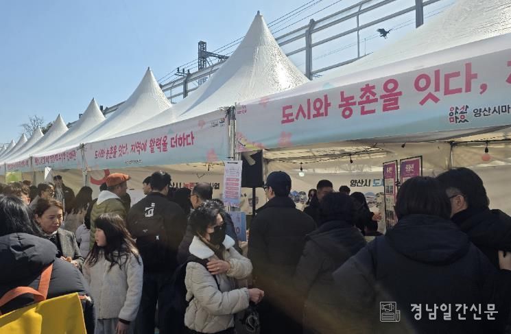 양산시 매화 향기 가득한 원동, 매화축제와 함께 도시·농촌재생 사업 전해