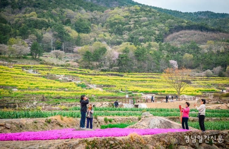 국민쉼터 남해, 황홀한 꽃대궐 상춘객 유혹 = 파라다랑스(자료사진)