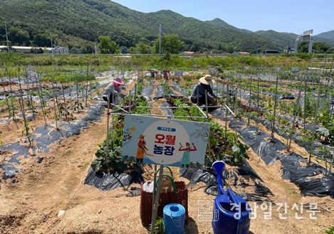 2024년 상동면 대감마을 리틀 포레스트 팜