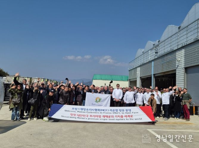 프랑스명장요리사협회(MCF) 셰프 180명, 거제 개체굴 생산 현장 방문