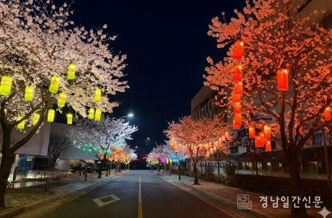 화사한 벚꽃·화려한 실크등 조화, 관광명소